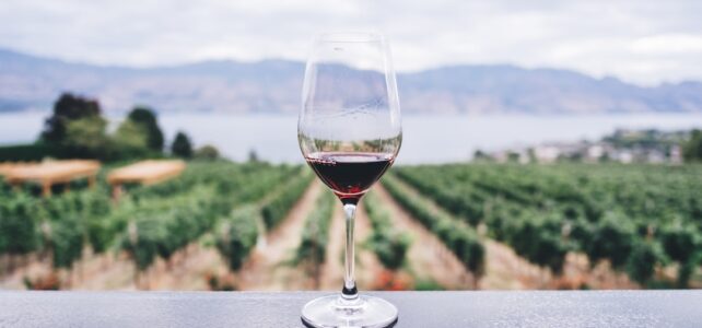 Køb og salg af vin: En guide til vinelskere Køb og salg af vin: En guide til vinelskere
